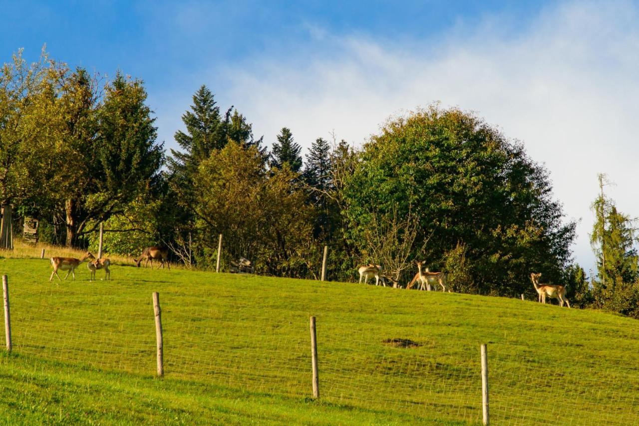 Schrahlehen Bed & Breakfast Wagrain Exterior foto